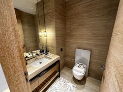Eden Residences Capitol (D6), Apartment #384721211
